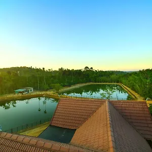 Resort Brown Bean
