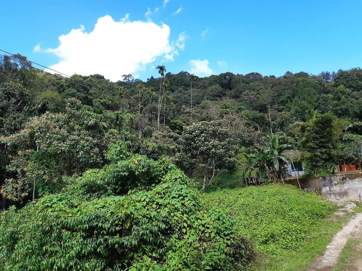 Mountain View Holiday Home Kalpetta